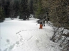 Isola 2000 prolongation