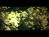 Romain Triques-TAPED!
