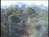 ENDURO DANS L'ESTEREL