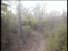 ENDURO DANS L'ESTEREL SUITE ET FIN