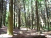 ride mont verdun
