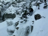 Freesnow