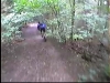 Descente des Pelerins.