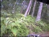 Chute embarqu&eacute;e en VTT