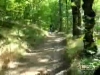 Vtt a bernay