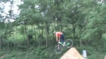 Vidéo