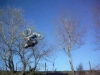 corentin causse 2008