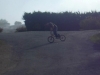 buny-whip patatra