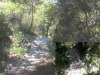 essai de montage
