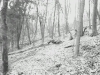 mtb