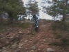 Compil's 2007