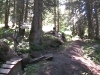 Le caribou trail &agrave; chatel