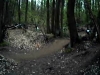 petit ride