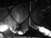 FYC huh teaser