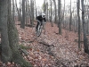 Ride dans les feuilles a Montreal