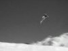 Impulsion