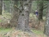 Descente/Freeride en Espagne