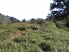 Bonne session au bike park...