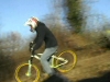 david desnoes gap tailwhip