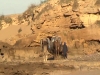 m&eacute;gapeufproduktion surf au maroc