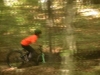 maxime peythieu - dirt