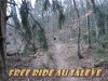 Free ride au Sal&egrave;ve