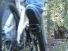 bike park epinal
