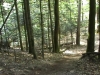 La Balise