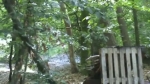 Vidéo