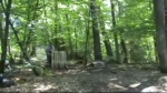 Vidéo