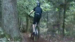 Vidéo