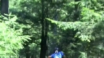 Vidéo