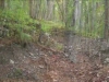 Serlin Trail