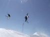 Movement-zoo edit f.perrenoud