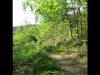 Elsass Riders   >> Trailer <<