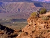 [fureteur] - Red Bull rampage II