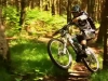 [Fureteur] - DH Sprint spirit...