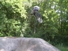 petite session dirt