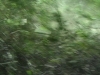 saison 2007/2008 par akroboite