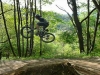 moi -dh short track