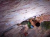 Natural Games>