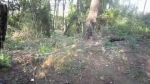 Vidéo
