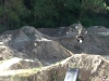 Fred Austruy - MTB