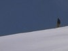 destination hors-piste