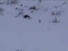 Freeride au CO 7 Laux