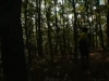 trailskate lyon downhill 