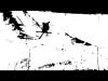 SeXXion [Teaser]