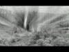 stripped teaser 1