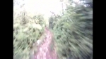 Vidéo