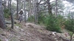 Vidéo